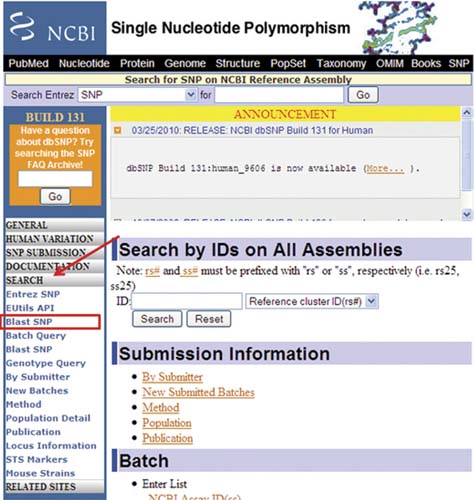 BLAST SNP link from the dbSNP