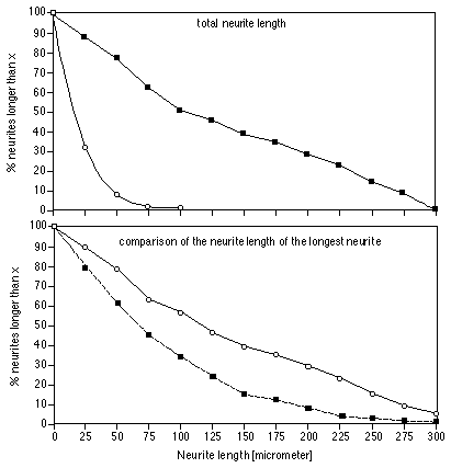 Analysis of Cell‐Cell Contact Mediated by Ig Superfamily Cell ... Analysis of Cell‐Cell Contact Mediated by Ig Superfamily Cell ...