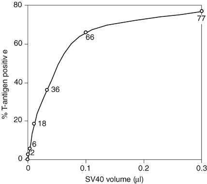 Share dilution stock options