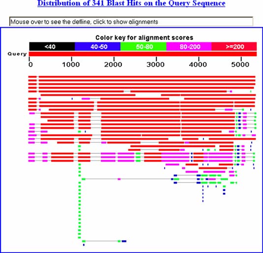 sequence on the NCBI BLAST