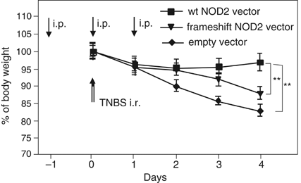 Efficient In Vivo Delivery of Plasmids and Oligonucleotides Using ... Efficient In Vivo Delivery of Plasmids and Oligonucleotides Using ...