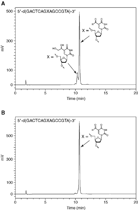 conversion reaction from