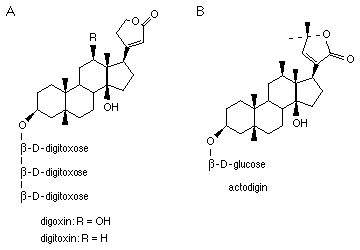 Digoxin Structure