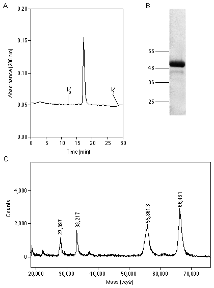 Sds+page+gel+calculator