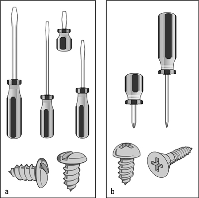Standard (a) and Phillips (b) drivers and their screws.