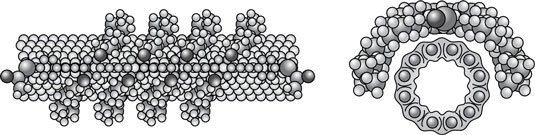 Functionalizing a carbon nanotube by attaching a molecule to it using van der Waals bonding.