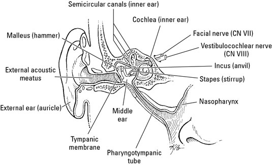 image0.jpg