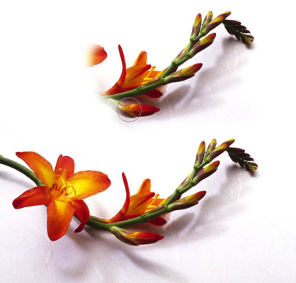 image0.jpg