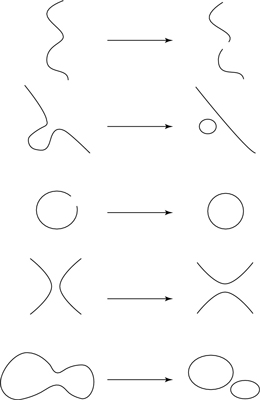 Type I strings can go through five fundamental interactions, based on different ways of joining and