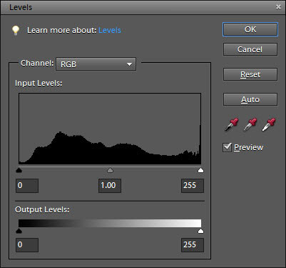 Adjust lighting levels in the Levels dialog box.