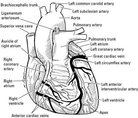 image0.jpg