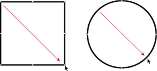 image1.jpg