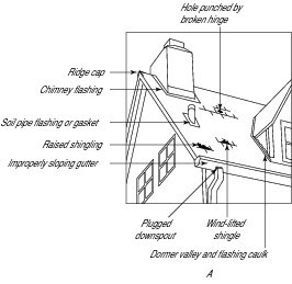 Looking for roof leaks on the outside of your house.