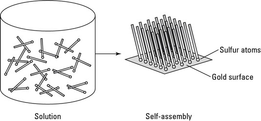 Atoms of sulfur bonding to gold atoms as an example of self-assembly.