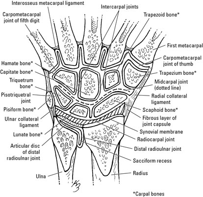 image0.jpg