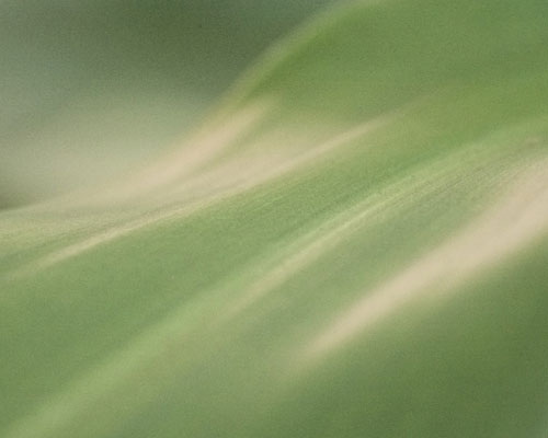 image1.jpg