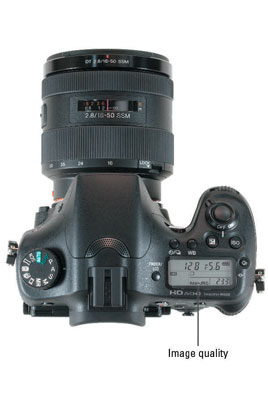 image1.jpg
