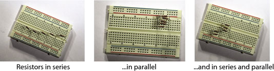image1.jpg