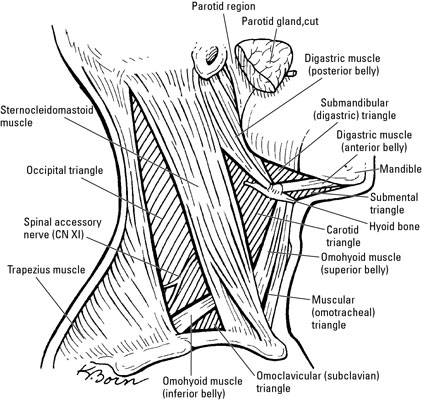 image0.jpg