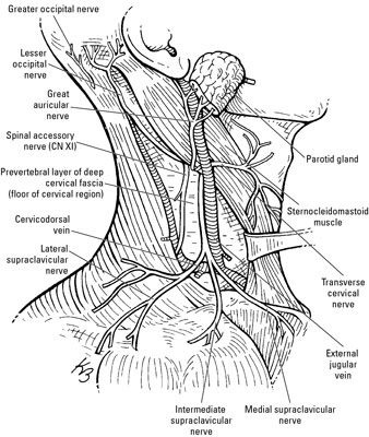 image1.jpg