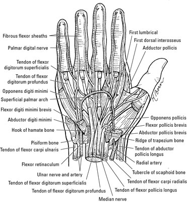 image0.jpg
