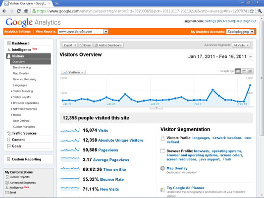 Visitors Overview in Google Analytics.