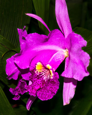 image0.jpg