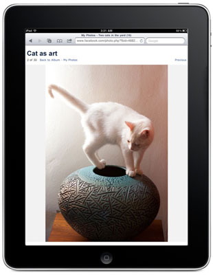 The high-resolution screen on the iPad makes it an ideal device for viewing photos and videos.