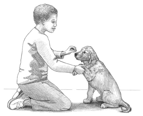 Paw (or