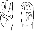 image2.jpg