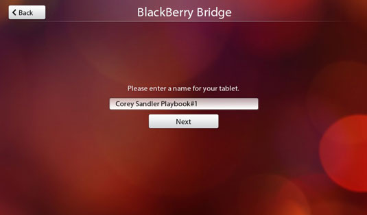 The Bridge allows you to use the cellular facilities and some of the data on your BlackBerry smartp