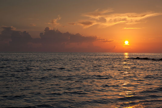 image2.jpg