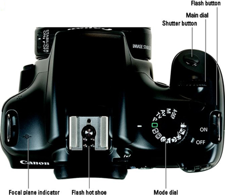 The tiny pictures on the Mode dial represent special automatic shooting modes.