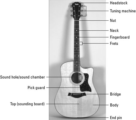 the guitar's various parts the guitar's various parts