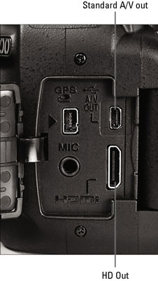 image1.jpg