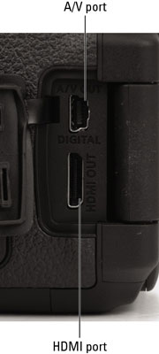 image1.jpg