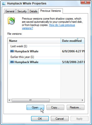 Vista tracks previous versions of your files, letting you return to older versions in case of a mis