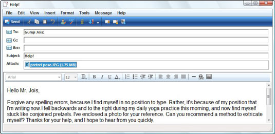 Use the Attach line to attach your file.