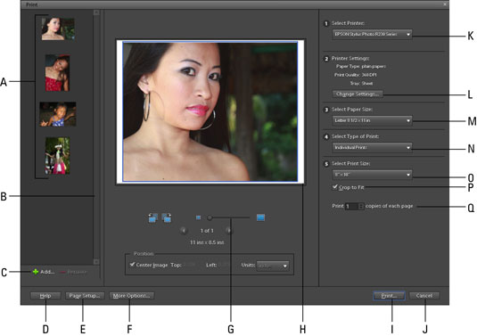 Thumbnails of selected images appear in the Print Photos dialog box.