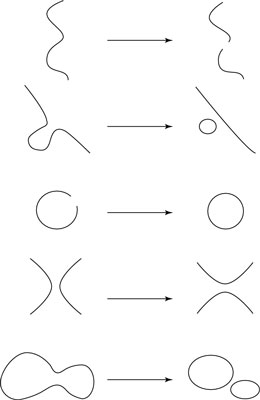 image0.jpg