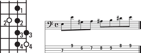 image7.jpg