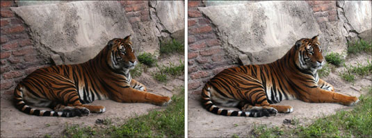 Auto Levels adjusts the overall contrast of an image.