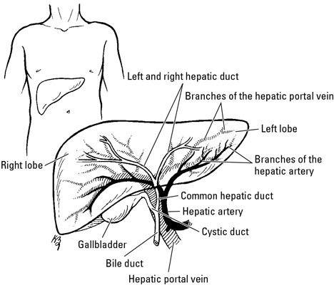 image0.jpg