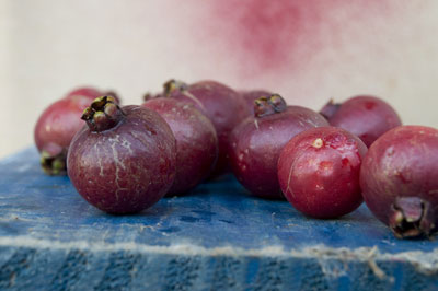 These red mini guavas were shot at 55mm. [Credit: Focal length: 55mm, Shutter speed: 1/10 sec., Ape