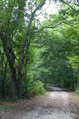 image1.jpg