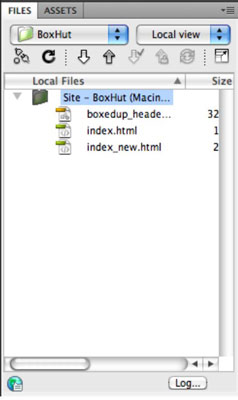 The Files panel acts as a file browser and manager.