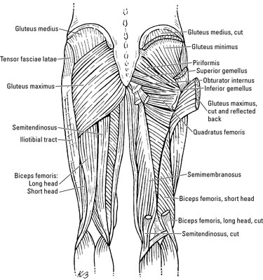 image0.jpg