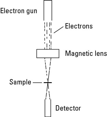 Diagram of a transmission electron microscope.