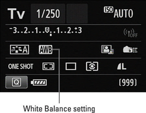 This symbol represents the Automatic White Balance setting.