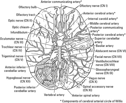image0.jpg